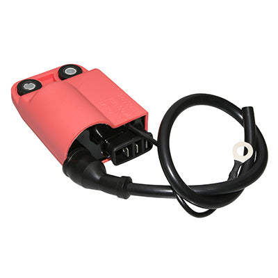 IGNITION COIL WITH CDI SCOOT ADAPTABLE PIAGGIO 50 ZIP 2T 1992+1997, 50 TYPHOON 1994+1997, 50 NRG 1994+1998 - GILERA 50 STALKER 1997+2003, 50 RUNNER 1997+2003 (LARGE PLUGS) (RO 252537) -P2R-