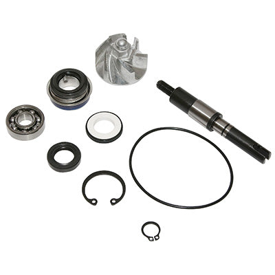 MAXISCOOTER WATERPOMP REPARATIE KIT AANPASBAAR HONDA 125 SH 2001+, 125 PANTHEON 2003+, 125 DYLAN 2004+ (KIT) -P2R-