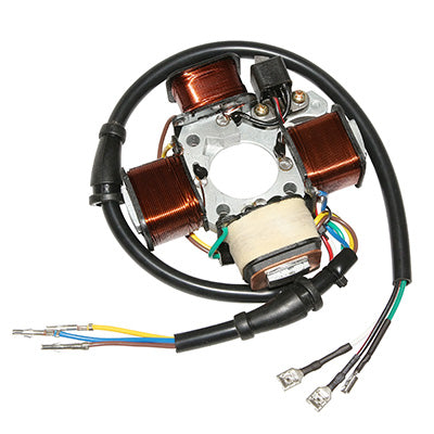 STATOR ALLUMAGE CYCLO ADAPTABLE PIAGGIO 50 CIAO  (12V)  -P2R-