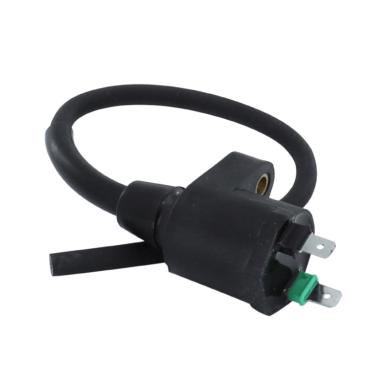 MAXISCOOTER IGNITION COIL ADAPTABLE APRILIA 125 SPORTCITY 2009+2015 - KYMCO 125 AGILITY 2006+2015, 125 DINK 1997+2015 - PIAGGIO 125 FLY 2006+2014, 125 TYPHOON 2010+2014 (2 TERMINALS) -SGR-