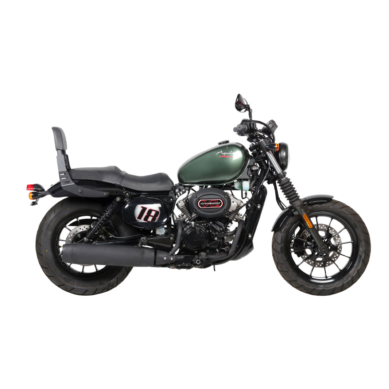 SISSYBAR-SHAD RUGLEUNING VOOR HYOSUNG 125 GV AQUILA (WORDT GELEVERD MET BEVESTIGING) (H0GV18SN)