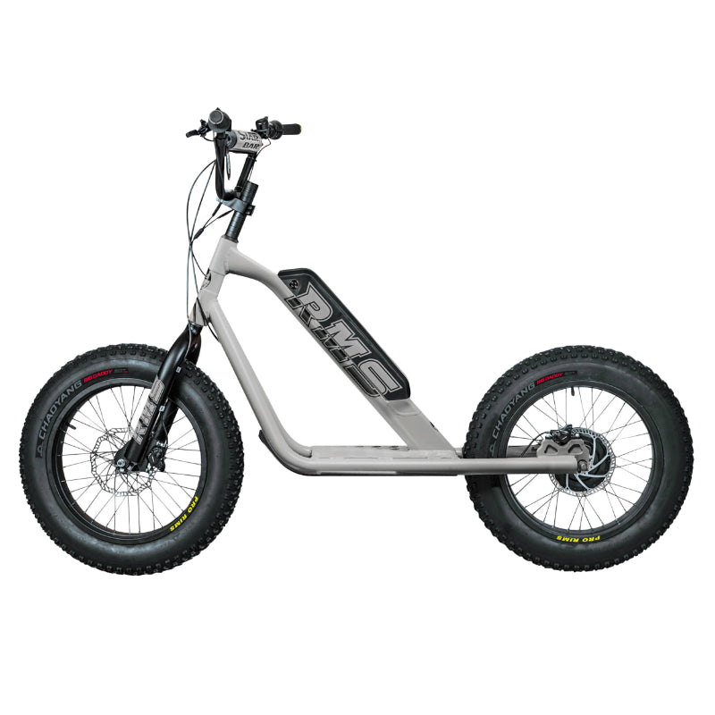 RMS BIKE 20F-X ELEKTRISCHE SCOOTER GRIJS ALUMINIUM RAL 9006 500 W MOTOR NF EN 1476 GOEDGEKEURD (AFM. 1,78x0,83x1,18 M) -GEMAAKT IN FRANKRIJK-