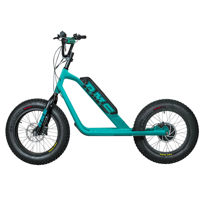 RMS BIKE 20F-X ELEKTRISCHE SCOOTER WATERGROEN RAL 5021 500 W MOTOR NF EN 1476 GOEDGEKEURD (AFM. 1,78x0,83x1,18 M) -GEMAAKT IN FRANKRIJK-