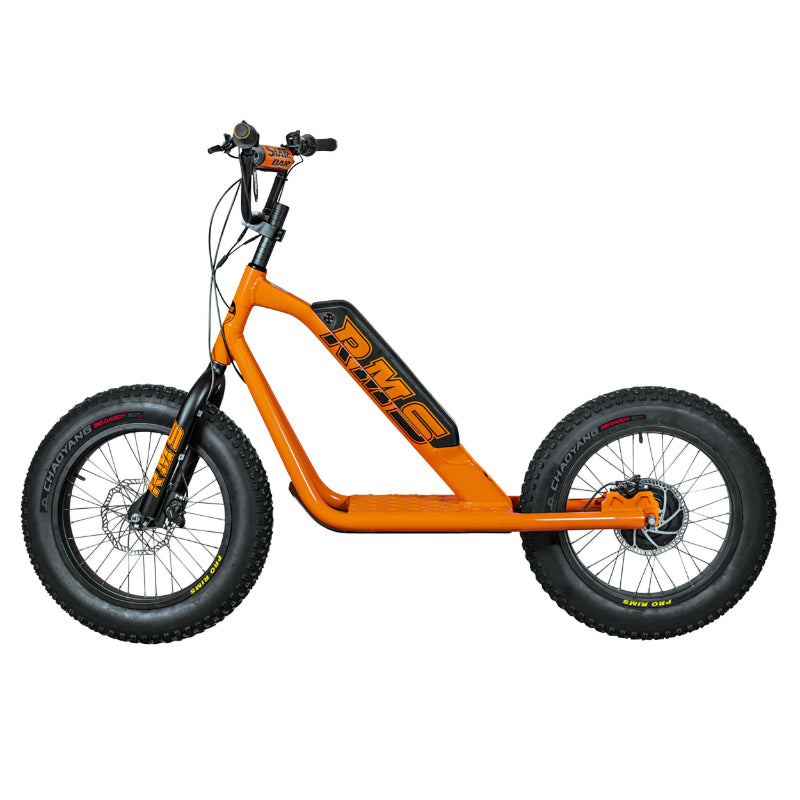 RMS BIKE 20F-X ELEKTRISCHE SCOOTER ORANJE RAL 2008 500 W MOTOR NF EN 1476 GOEDGEKEURD (AFM. 1,78x0,83x1,18 M) -GEMAAKT IN FRANKRIJK-