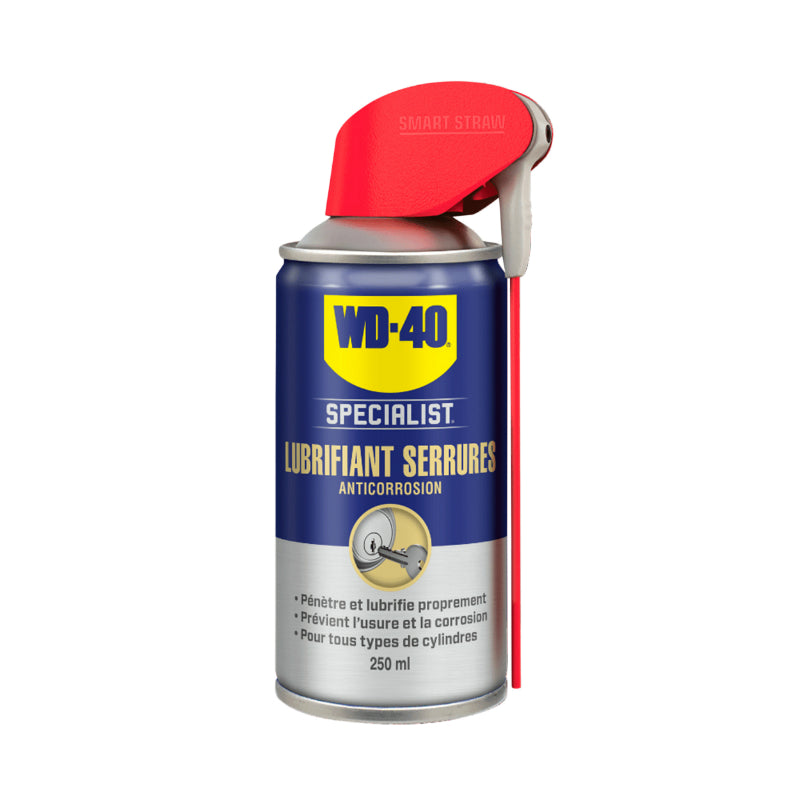 WD-40 SPECIALIST SLOTSMEERMIDDEL (AEROSOL 250 ml)