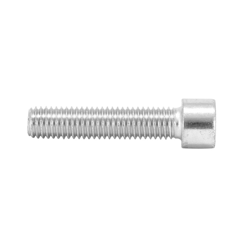 6-POINT SOCKET HEAD SCREWS M10 x 12 mm CHROME (BAG OF 10 PIECES) -P2R SELECTION-