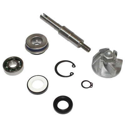 KIT REPARATION POMPE A EAU MAXISCOOTER ADAPTABLE HONDA 125 SH, 125 PANTHEON, 125 DYLAN  (KIT)  -BUZZETTI-