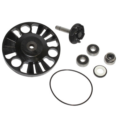 KIT REPARATION POMPE A EAU MAXISCOOTER ADAPTABLE PIAGGIO 125 X8,125 X9, 125 BEVERLY, 1VESPA GTS-GILERA 125 NEXUS, 125 RUNNER-APRILIA 125 ATLANTIC (ROULEMENTS DIAMETRE 22) (KIT)  -BUZZETTI-