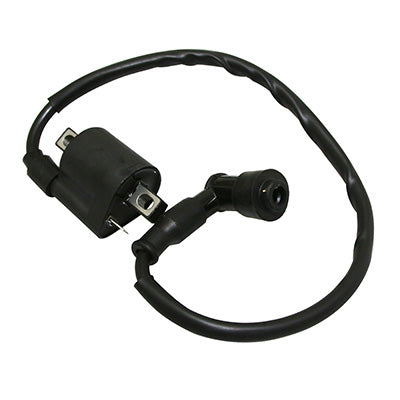 IGNITION COIL 50 A ADAPTABLE GENERIC 50 TRIGGER BOX - CPI 50 SM -P2R-