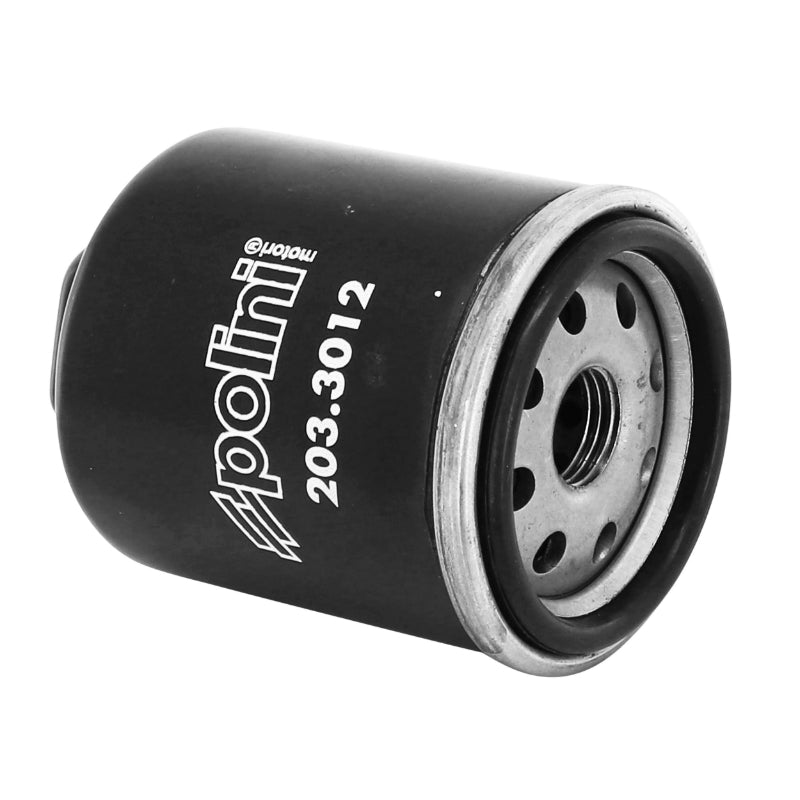 MAXISCOOTER POLINI OIL FILTER FOR PIAGGIO 125 X-EVO, 125 X8, 125 (203.3012)