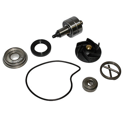 KIT REPARATION POMPE A EAU MAXISCOOTER ADAPTABLE PIAGGIO 250 BEVERLY 2006+, 250 X8, 250 X9 EVOLUTION, 300 MP3 2010+, 300 VESPA GTS 2008+-GILERA 250-300 NEXUS (KIT)  -SELECTION P2R-