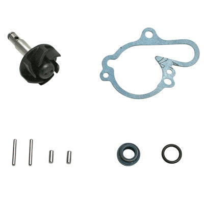 WATERPOMP REPARATIE KIT 50 MET AANPASBARE VERSNELLINGSBAK MINARELLI 50 AM6 - MBK 50 XPOWER - YAMAHA 50 TZR - PEUGEOT 50 XPS - RIEJU 50 RS1 - APRILIA 50 RS (ORIGINEEL TYPE) -TOP PRESTATIES-