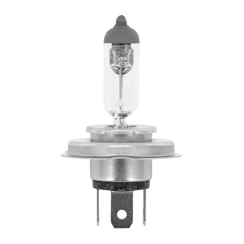 HALOGEEN LAMP HS1 12V 35-35W PX43t WIT BEHUIZING (SPOTLIGHT) (AFZONDERLIJK VERKOCHT) -FLOSSER-