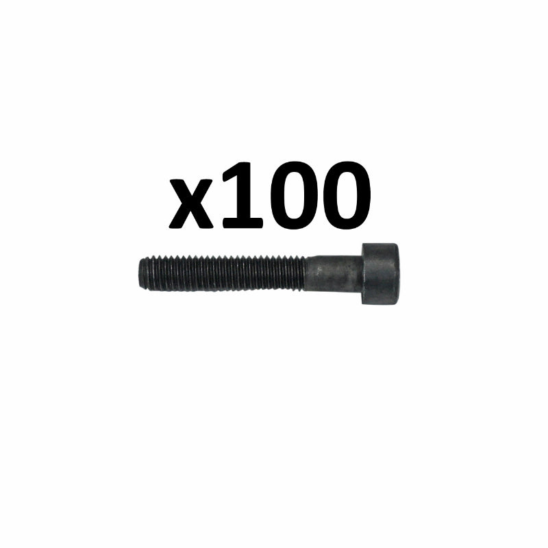 6-SIDED SOCKET HEAD SCREWS DIAM M5 x 30 mm (BOX OF 100 PIECES) (690024) -ALGI-