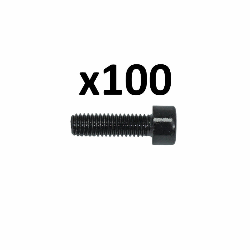 6-SIDED SOCKET HEAD SCREWS DIAM M6 x 20 mm (BOX OF 100 PIECES) (690042) -ALGI-