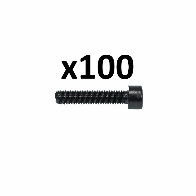 6-SIDED SOCKET HEAD SCREWS DIAM M6 x 30 mm (BOX OF 100 PIECES) (690044) -ALGI-