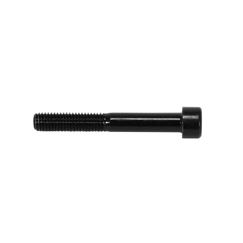 6-SIDED SOCKET HEAD SCREWS DIAM M8 x 60 mm (BOX OF 50 PIECES) (690090) -ALGI-