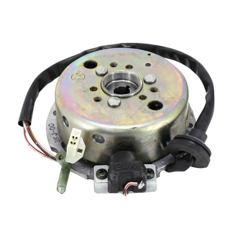 IGNITION (COMPLETE ROTOR+STATOR) ORIGINAL APRILIA 50 RALLY, SR 1994+2000 -AP8206462-