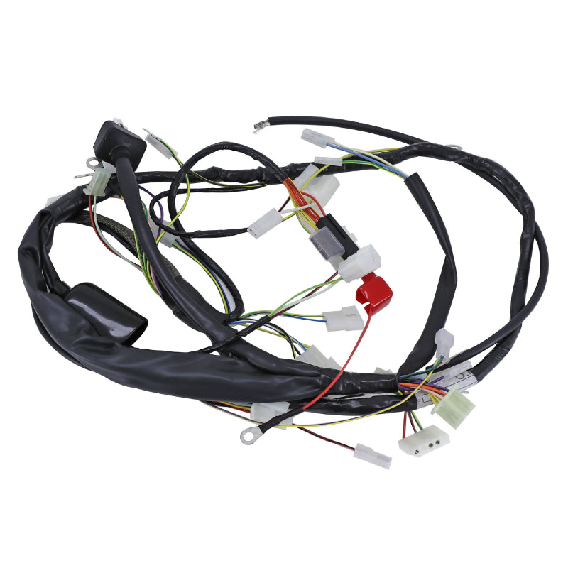 FAISCEAU DE CABLES ORIGINE DERBI 50 SENDA DRD RACING 2 E2 2005+2008- APRILIA 50 SX,RX 2006+2010 -86107R-