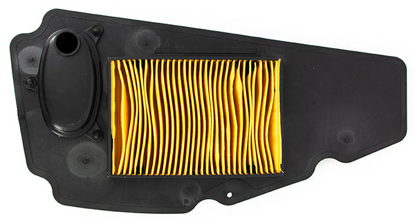 Honda Ex250 Air Filter