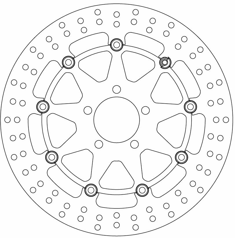 Kawasaki Brake Disc Ø310x81x61 NbTrou5xØ10.5